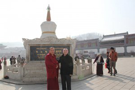 书生风采