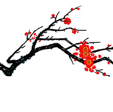 大道梅花易