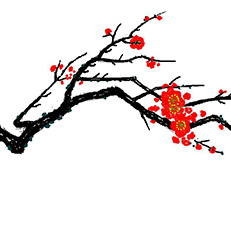 梅花易数研讨会